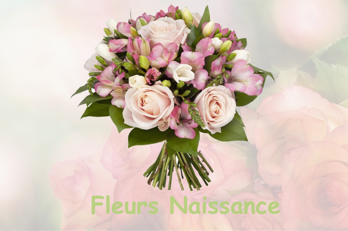 fleurs naissance VILLENEUVE-LES-SABLONS